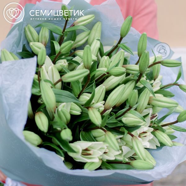 Букет из 15 белых лилий азиатка