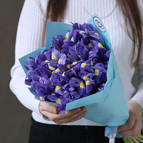 Букет из 25 синих ирисов в голубой пленке