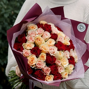 Букет из 51 кремовой, нежно-розовой и красной розы 40 см (Кения) в голубой пленке