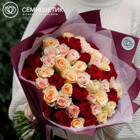 Букет из 51 кремовой, нежно-розовой и красной розы 40 см (Кения) в голубой пленке