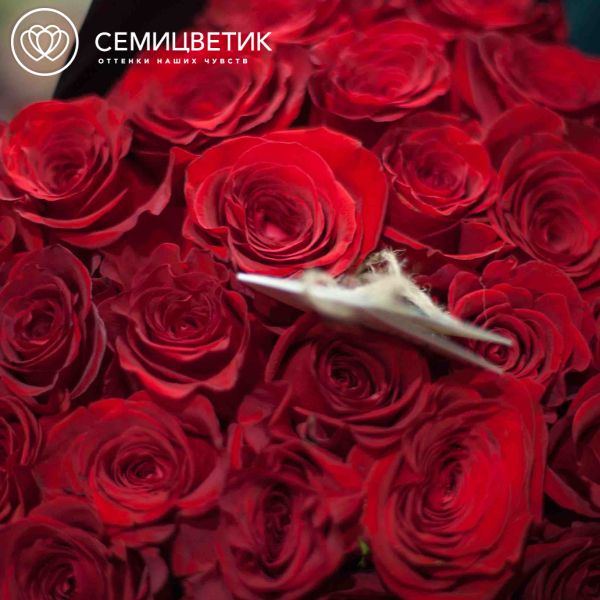 Букет из 25 красных роз (Эквадор) 60 см Freedom