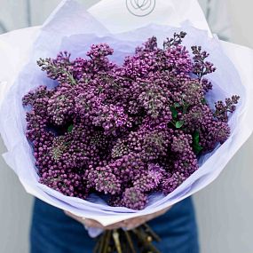 Букет из 25 веток сирени