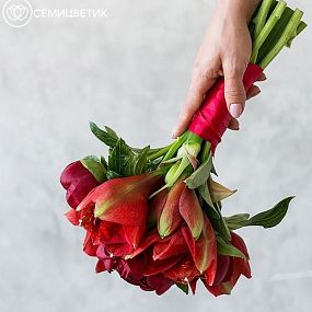Свадебный букет из амариллиса и пионов