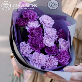 Букет из 15 сиреневых и фиолетовых гвоздик в сиреневой пленке