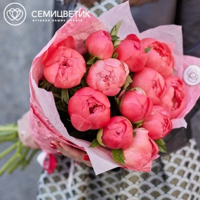Букет из 11 коралловых пионов Coral Sunset Premium в розовой пленке