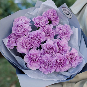 Букет из 15 сиреневых (лунных) гвоздик в голубой пленке