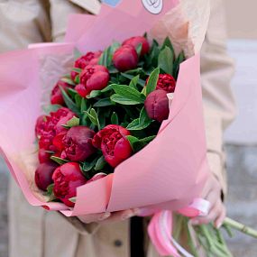Букет из 15 бордовых пионов Standart