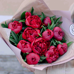 Букет из 11 бордовых пионов Standart в сиреневой пленке