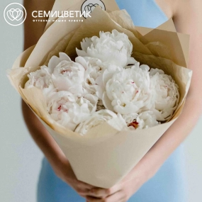 Букет из 9 нежно-розовых пионов Standart Plus в кремовой пленке