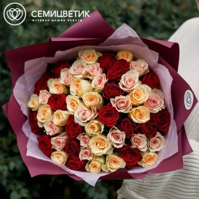 Букет из 51 кремовой, нежно-розовой и красной розы 35-40 см (Кения) в голубой пленке