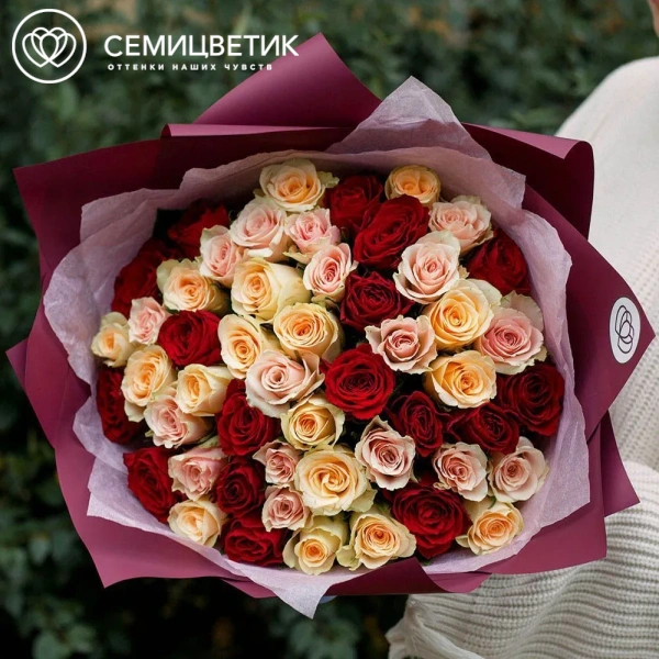 Букет из 51 кремовой, нежно-розовой и красной розы 35-40 см (Кения) в голубой пленке