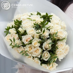 Букет из 51 белой розы 35-40 см (Россия) с фисташкой в прозрачной пленке