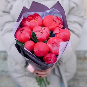 Букет из 9 коралловых пионов Coral Sunset Premium в сиреневой пленке