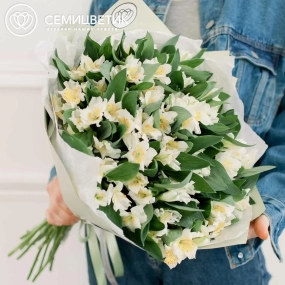 Букет из 23 белых альстромерий в зеленой пленке