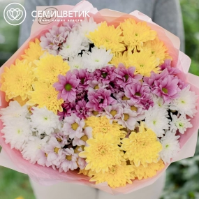 Букет из 11 кустовых хризантем микс в розовой пленке