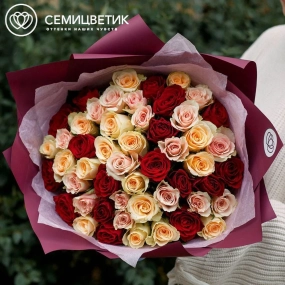 Букет из 51 кремовой, нежно-розовой и красной розы 40 см (Кения) в голубой пленке