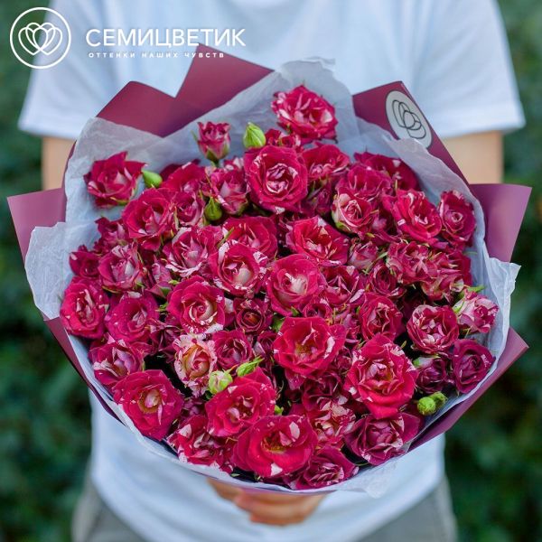 Букет из 21 кустовой розы биколор 40 см (Кения) в бордовой пленке