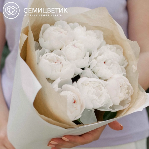 Букет из 9 нежно-розовых пионов Standart в кремовой пленке