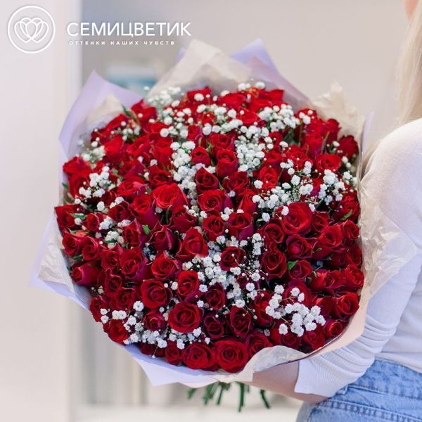 Букет из 101 красной розы 40 см (Кения) с белой гипсофилой