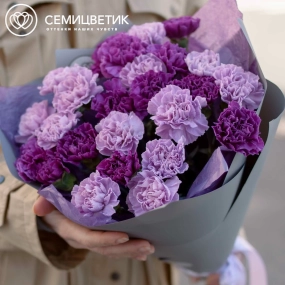 Букет из 25 сиреневых (лунных) и фиолетовых гвоздик в голубой пленке