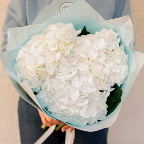 Букет из 3 белых гортензий в белой пленке