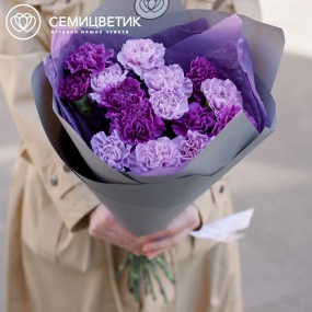 Букет из 15 сиреневых и фиолетовых гвоздик в сиреневой пленке