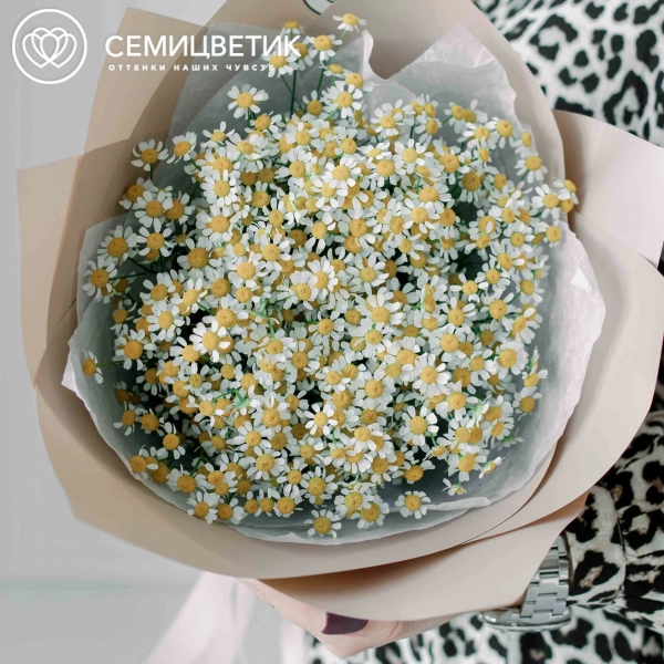 Букет из 15 матрикарий (ромашек)