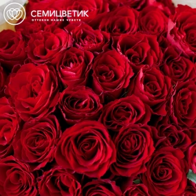 Букет из 41 красной розы 40 см (Кения) в кремовой пленке